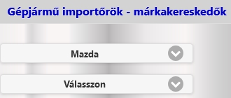 Gépjármű márkakereskedők